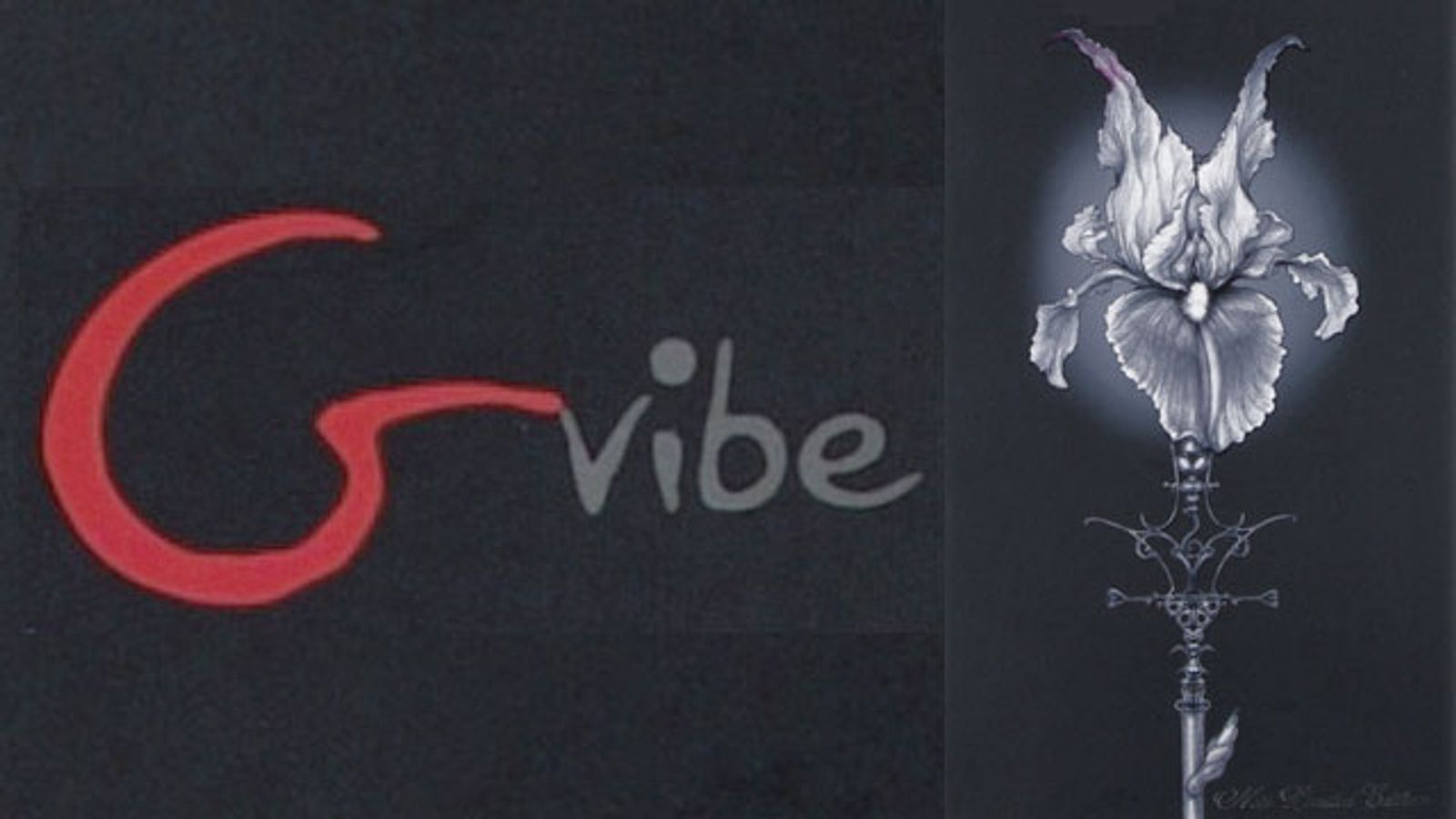 Fun Toys Introduces G-Vibe Noir Limited Edition