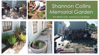 LELO Employees, Volunteers Begin Installation Of Shannon Collins Memorial Garden