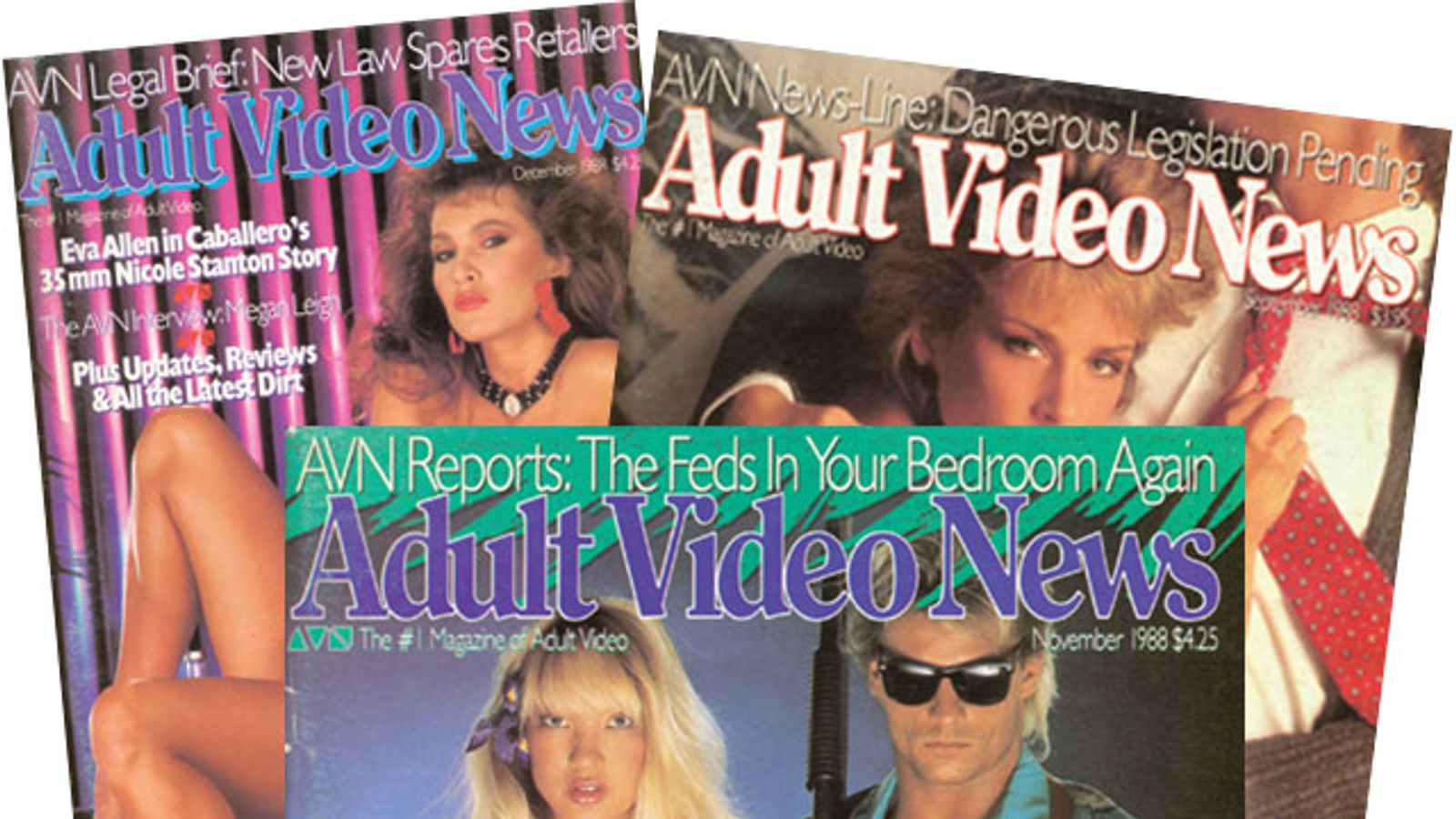 Legalese Column: AVN's 30th Anniversary Compels a Look Back