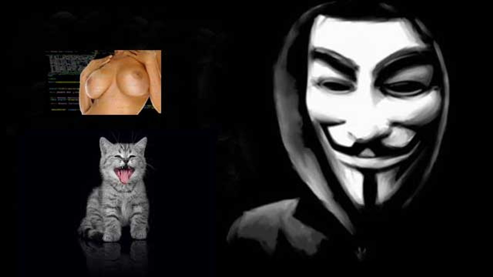 Anonymous Threatens N. Korea Internet with Kittens, Porn