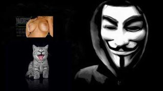Anonymous Threatens N. Korea Internet with Kittens, Porn