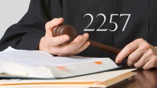 Plaintiffs' Final Expert Testifies on Seventh Day of 2257 Trial