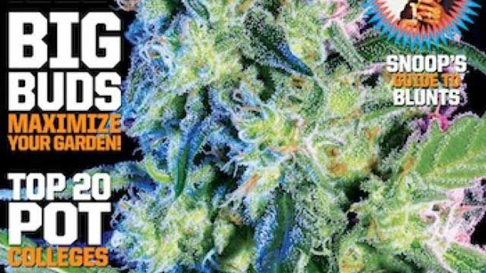 Colorado Decides Pot Mags Don't Have to Stay With the Porn