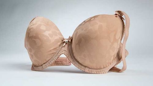 A Brief Nod to 34DD Bras