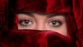 Al Bawaba Slideshow Looks at Porn in the Middle East