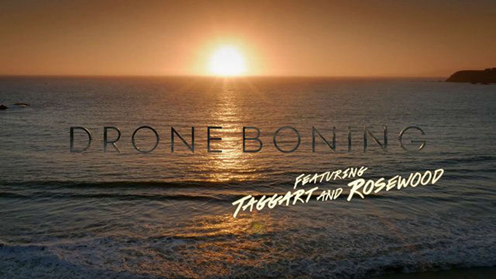 World's First Drone Porn?