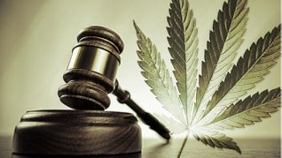 California Trial's Outcome Could Legalize Marijuana For All