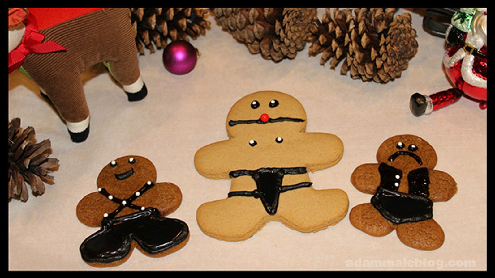 AdamMaleBlog.com Creates Naughty Gingerbread Cookie Tutorial