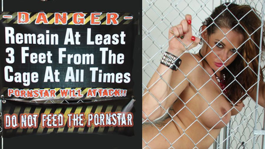 ‘When Pornstars Attack,’ Director Glenn King Captures the Action