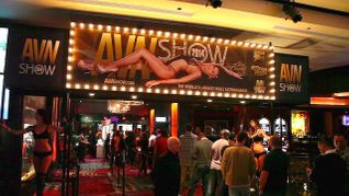 Check Out B-roll from the AVN Adult Entertainment Expo