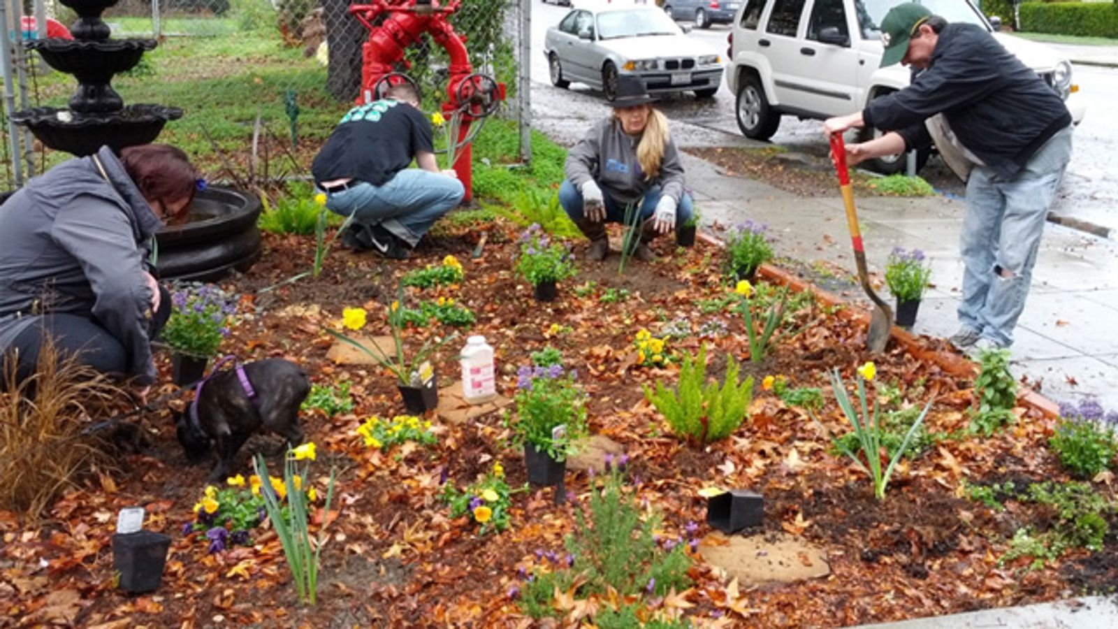 More Progress Made On Shannon Collins Memorial Garden