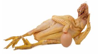 Poultry Farmers Play Chicken with Porn Site