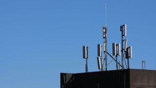Legalese Column: War on Neutrality