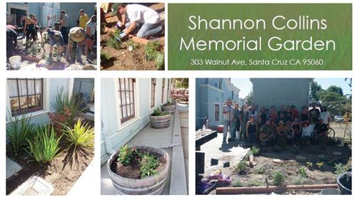 Volunteers, Supplies Needed For Shannon Collins Memorial Garden