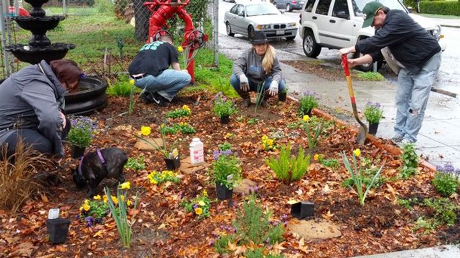 Garden Day Planned for May 3 at Shannon Collins Memorial Garden