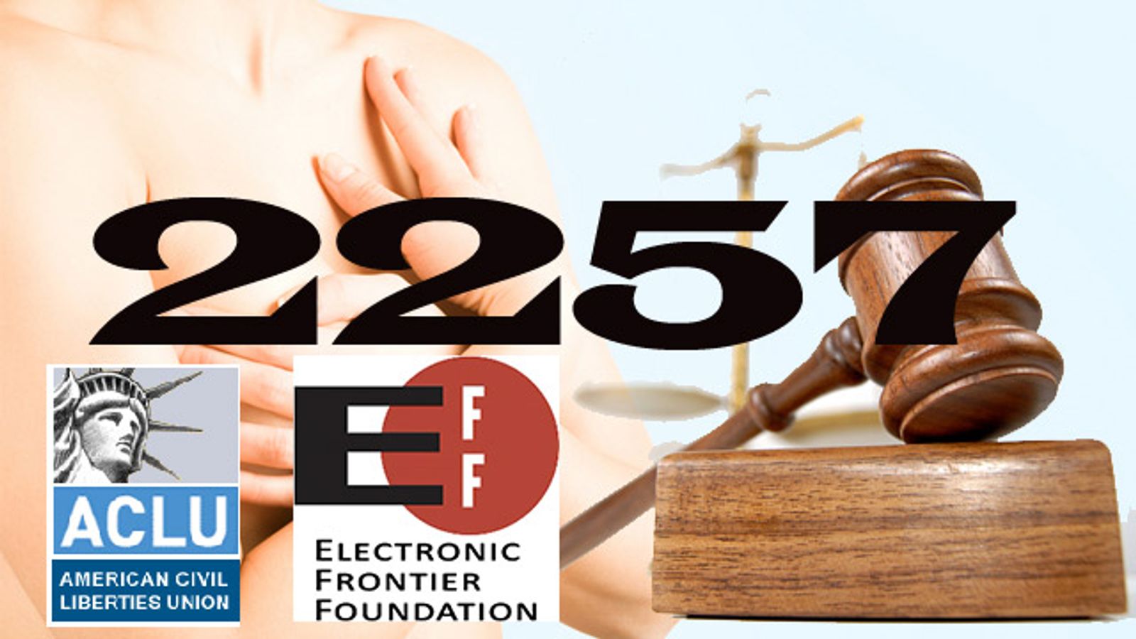 ACLU, EFF File 'Amicus' in Support of FSC's Fight Against 2257