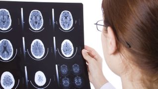 Small-Brained Men Need Lots of Porn ... Maybe