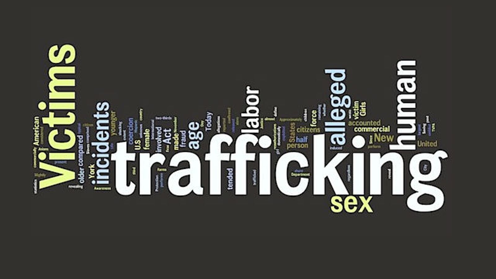 Exposing the 'Purrverse' Truth Behind Sex Trafficking Stings