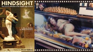 Review: Hindsight: True Love & Mischief in the Golden Age of Porn