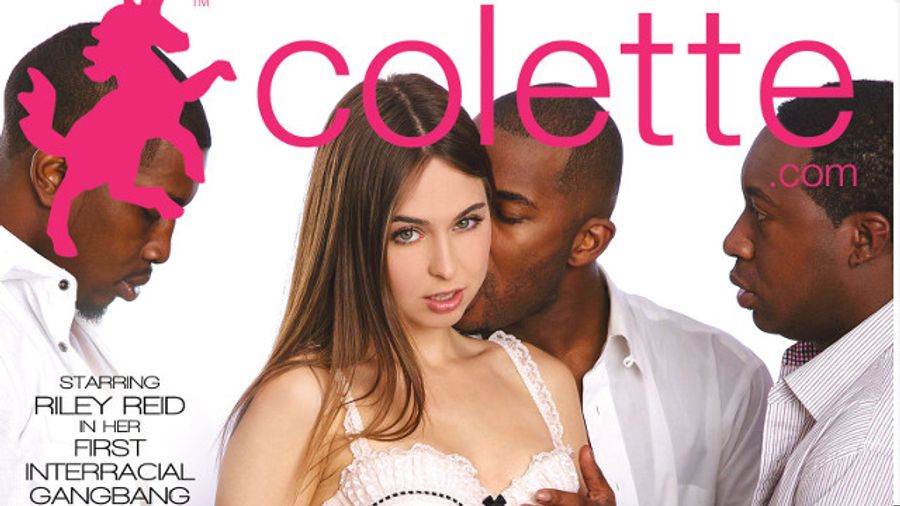 Adult Source Media Releases Colette.com's First DVD