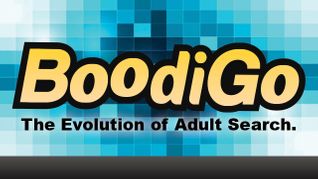 BoodiGo Taking Name Reservations for New BoodiBlog Platform