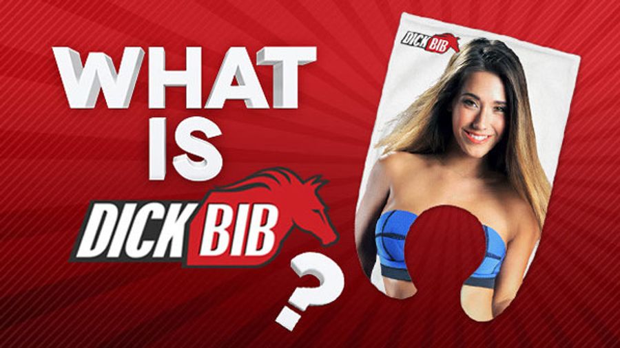 Digital Playground Launches IndieGoGo Campaign for DickBib