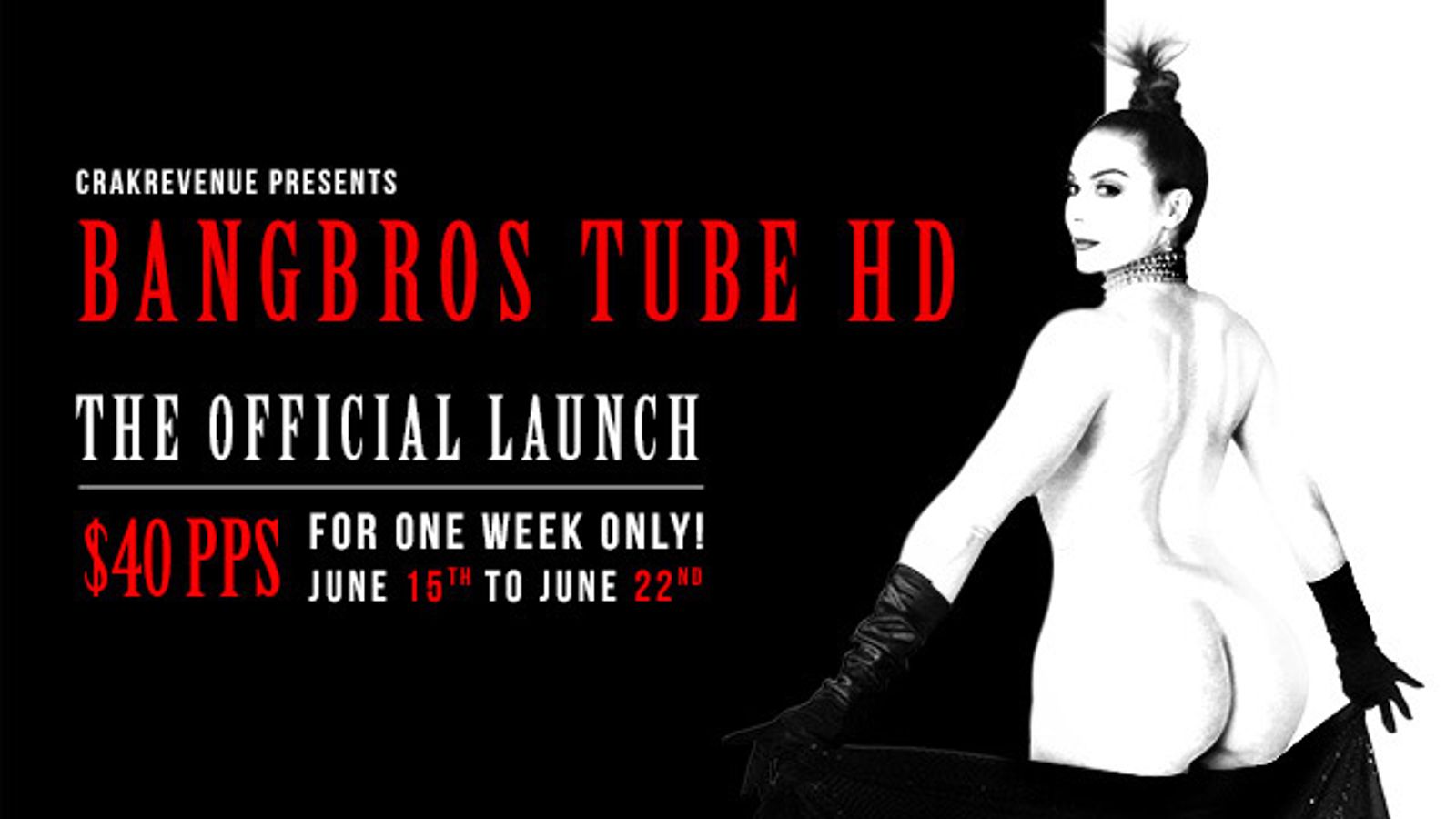 Payout Bumped for the BangBros Tube HD Launch