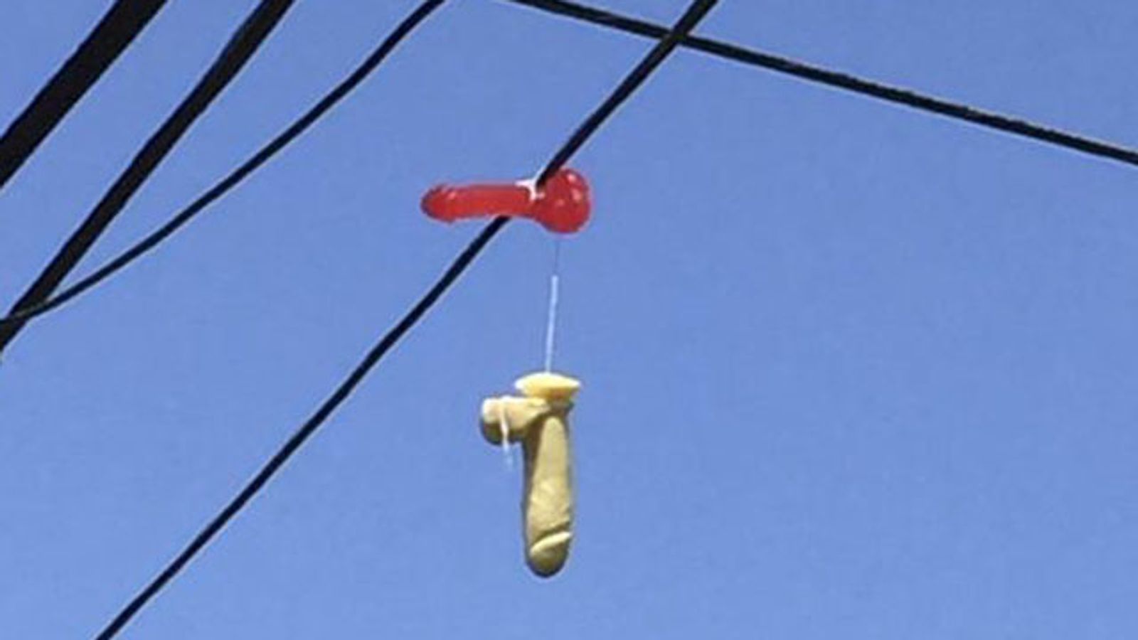 Done With That Dildo? Sex Toys Hanging From Portland, Ore., Power Lines