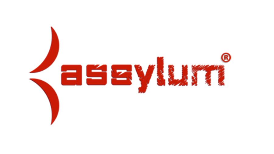Assylum.com Releases Authentic BDSM Trilogy 'Anal Inquisition'