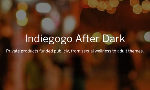 Indiegogo Launches After Dark Platform for Sex Toys