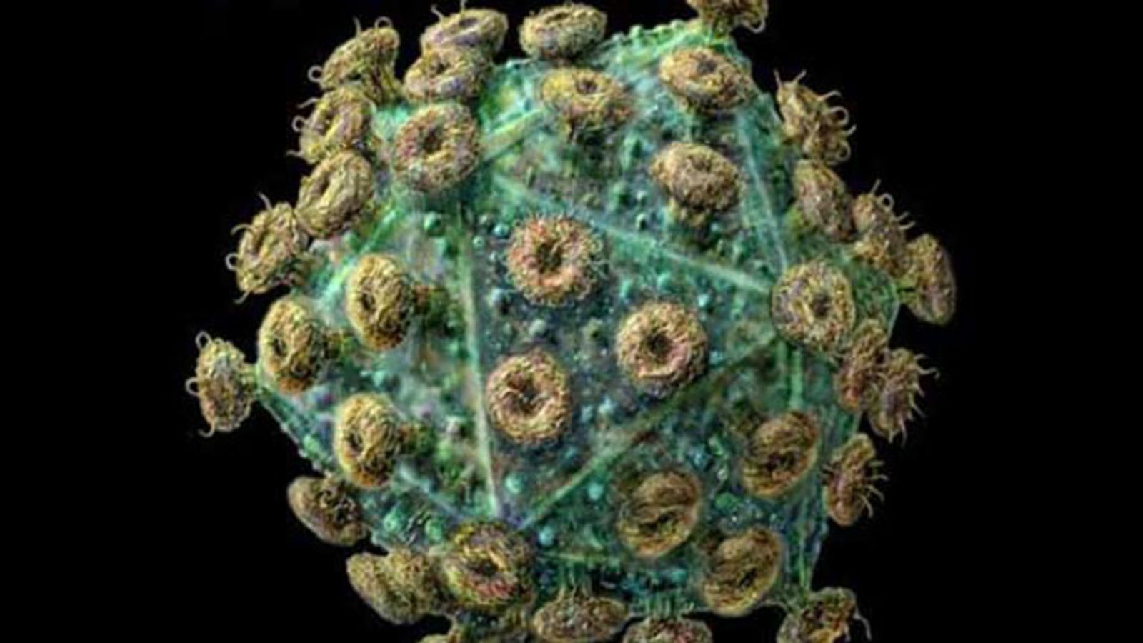 New HIV-Killing Antibody Could Lead To Vaccine