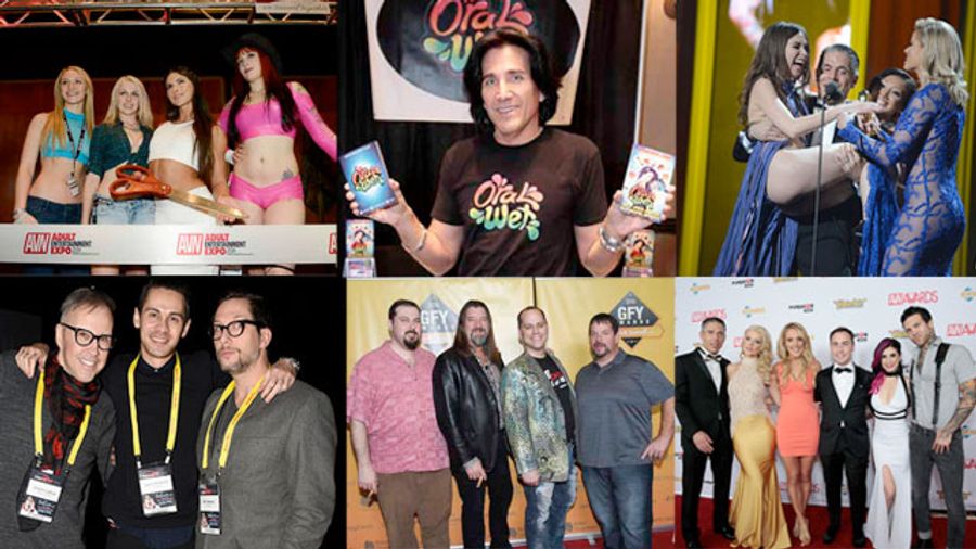 The AVN Show Wrap-Up in Photos