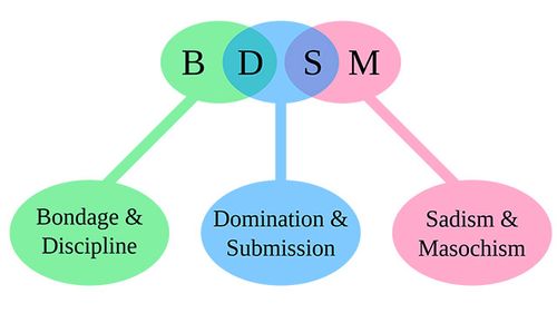 U.S. District Court in Va. Rules No Constitutional Right to Do BDSM