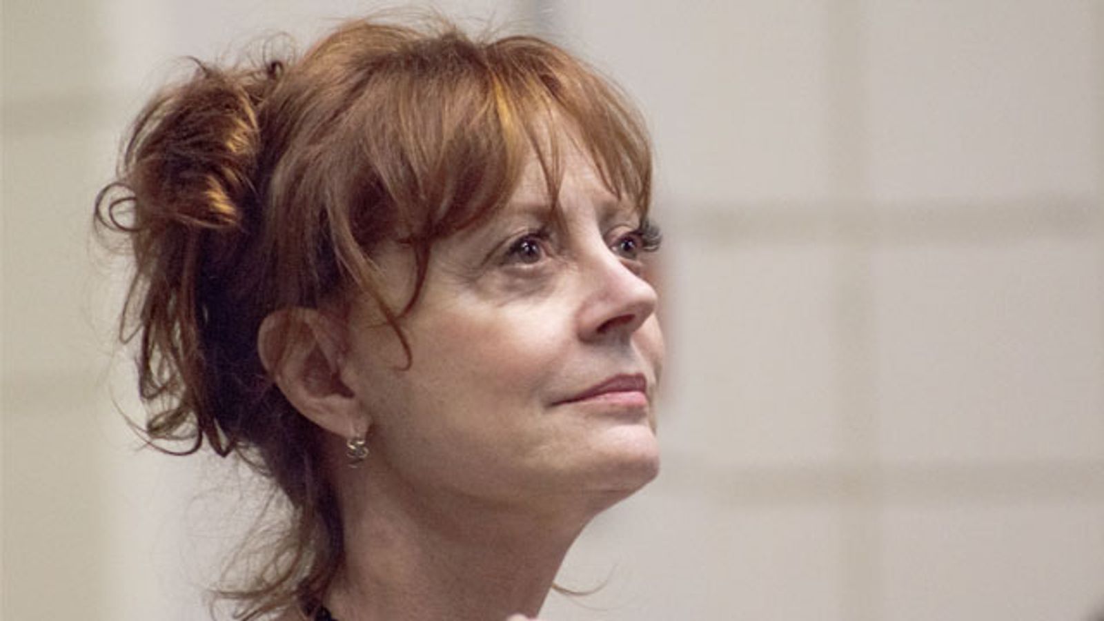 Producers, Need a New Director? How About Susan Sarandon?