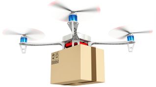The World's Sex Life and Drones