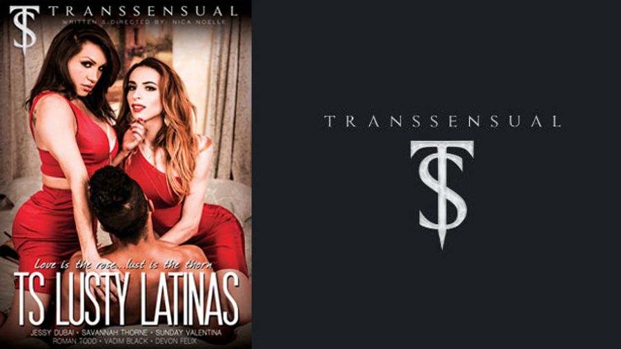 TransSensual Gets Spicy With 'TS Lusty Latinas'