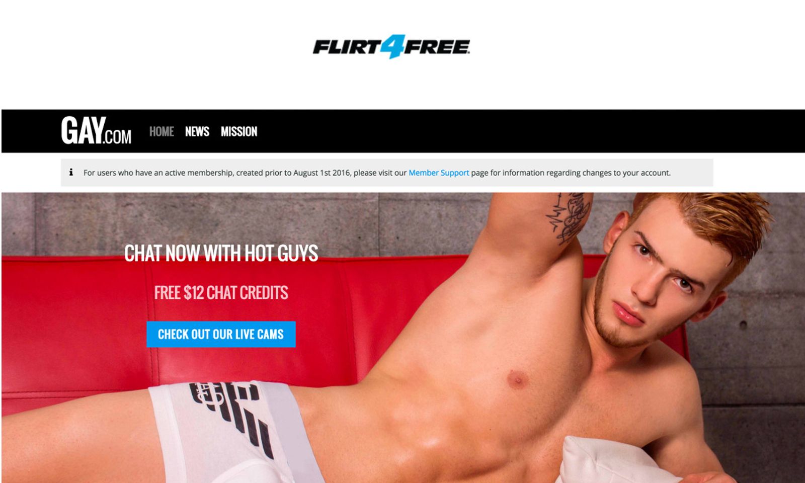 Flirt4Free Acquires Gay.com, Gay.net