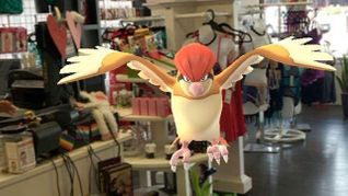 Fairvilla Finds Itself a Part of the Pokemon Go Craze