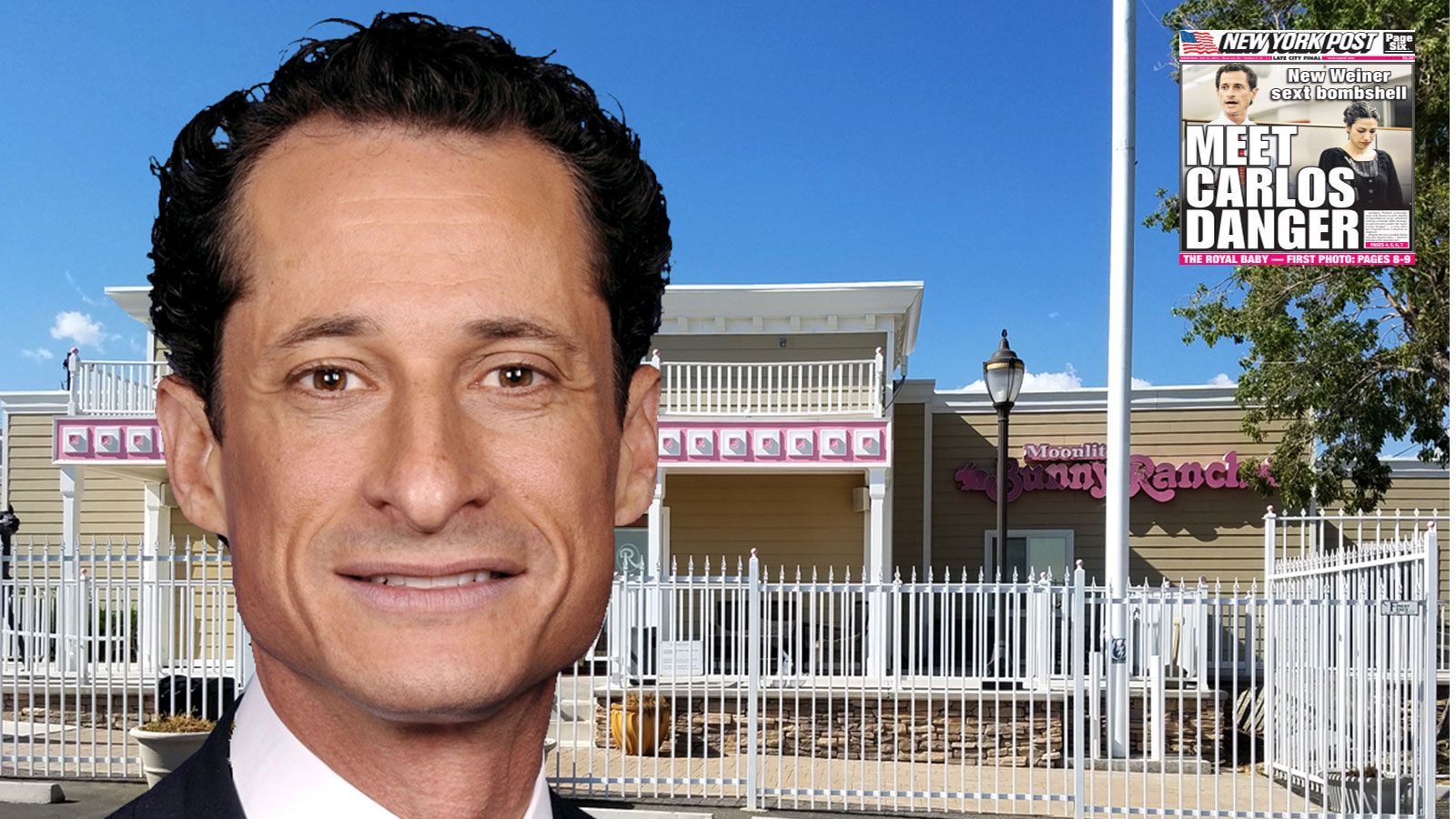 Hey Anthony Weiner: Ready For Sex Work Yet?