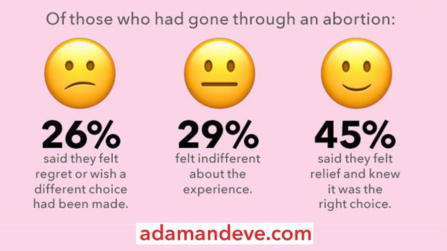Adamandeve.com Infographic Shows Statistics On Abortion In U.S.