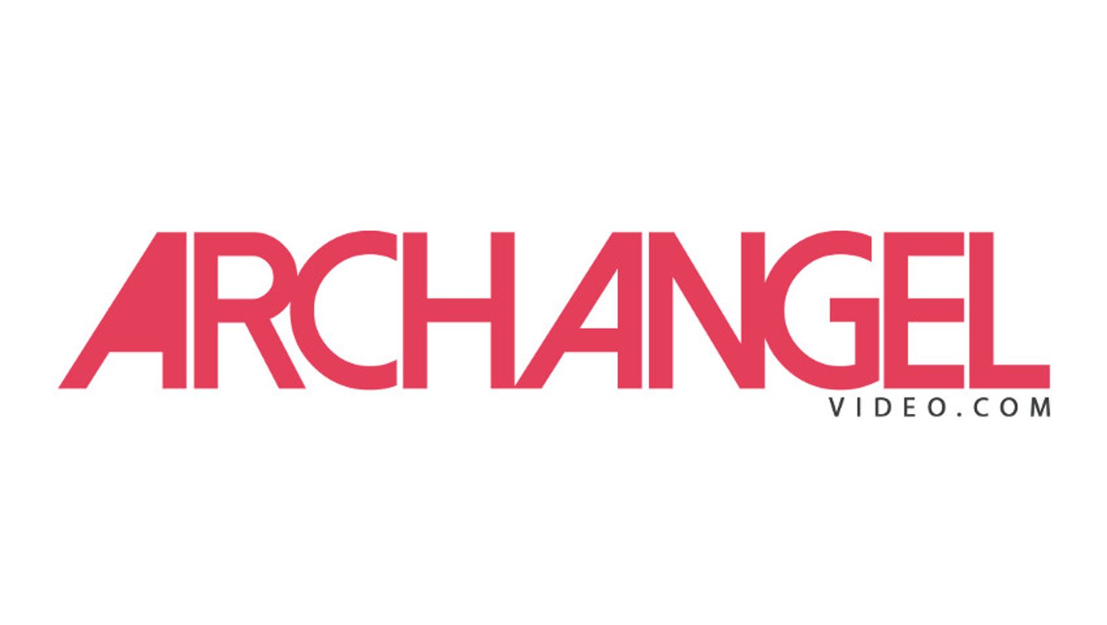 ArchAngel Offers Free Website Access Over Black Friday Weekend
