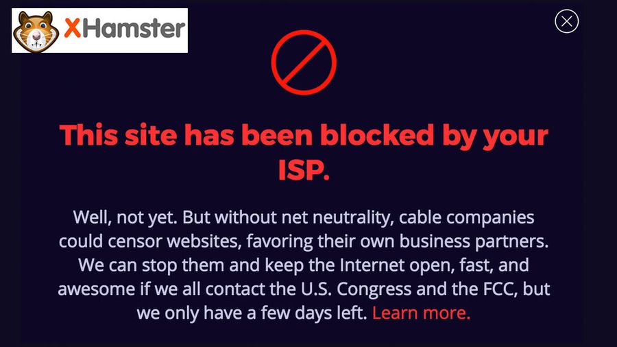 xHamster Releases 'Net Neutrality Explainer' For Porn Fans
