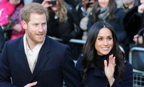 Prince Harry, Meghan Markle Lead Vivid’s Sex Tape Wish List