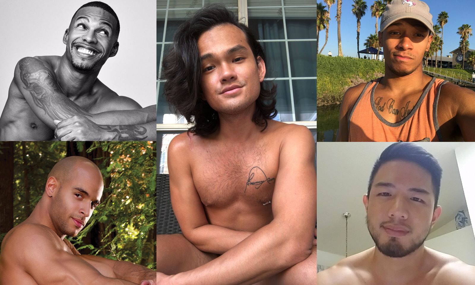 Other Voices: Gay Performers on Race and Porn