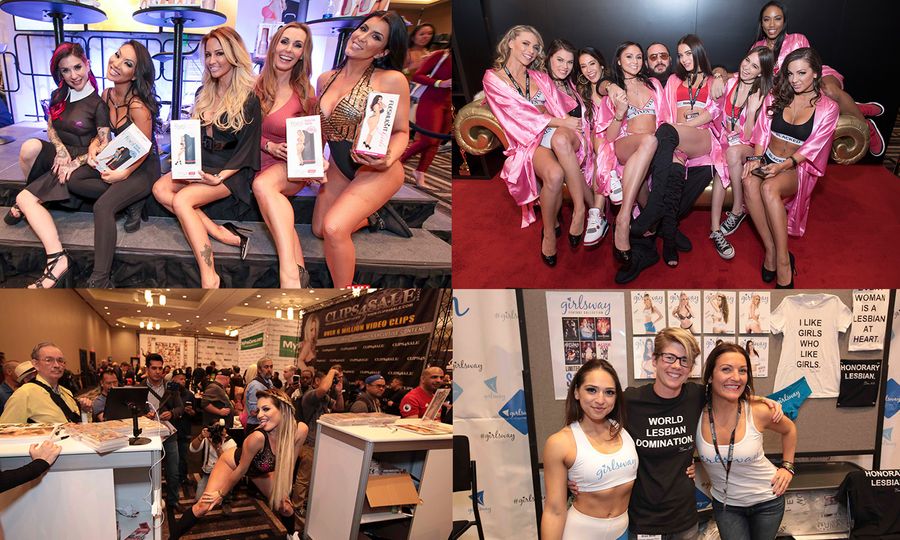 Before the Deluge: Day 1 of the AVN Expo