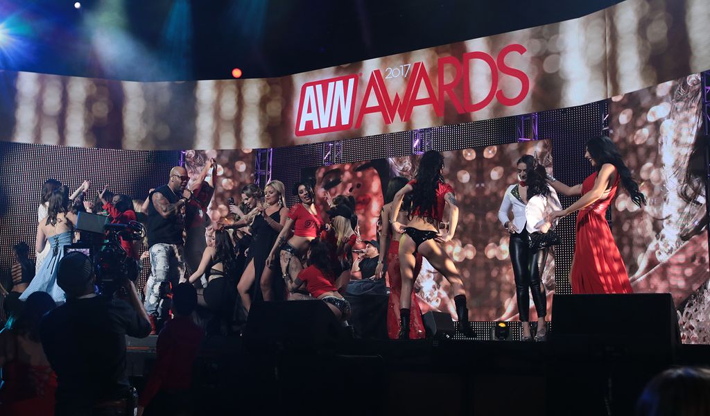2017 AVN Award Winners Announced