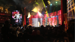 2017 AVN Awards Show Lights Up Las Vegas