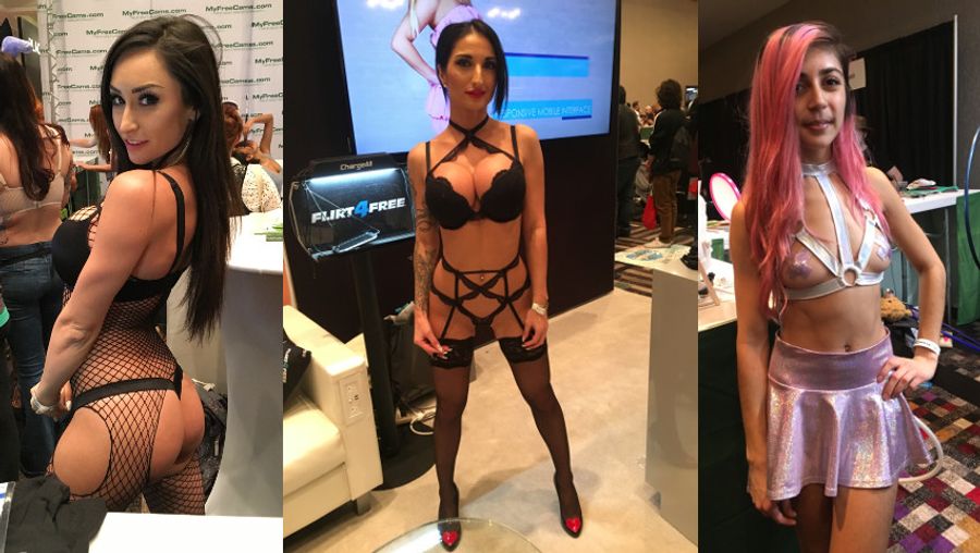 Live-Cam Companies Flex Muscle at 2017 AVN Show