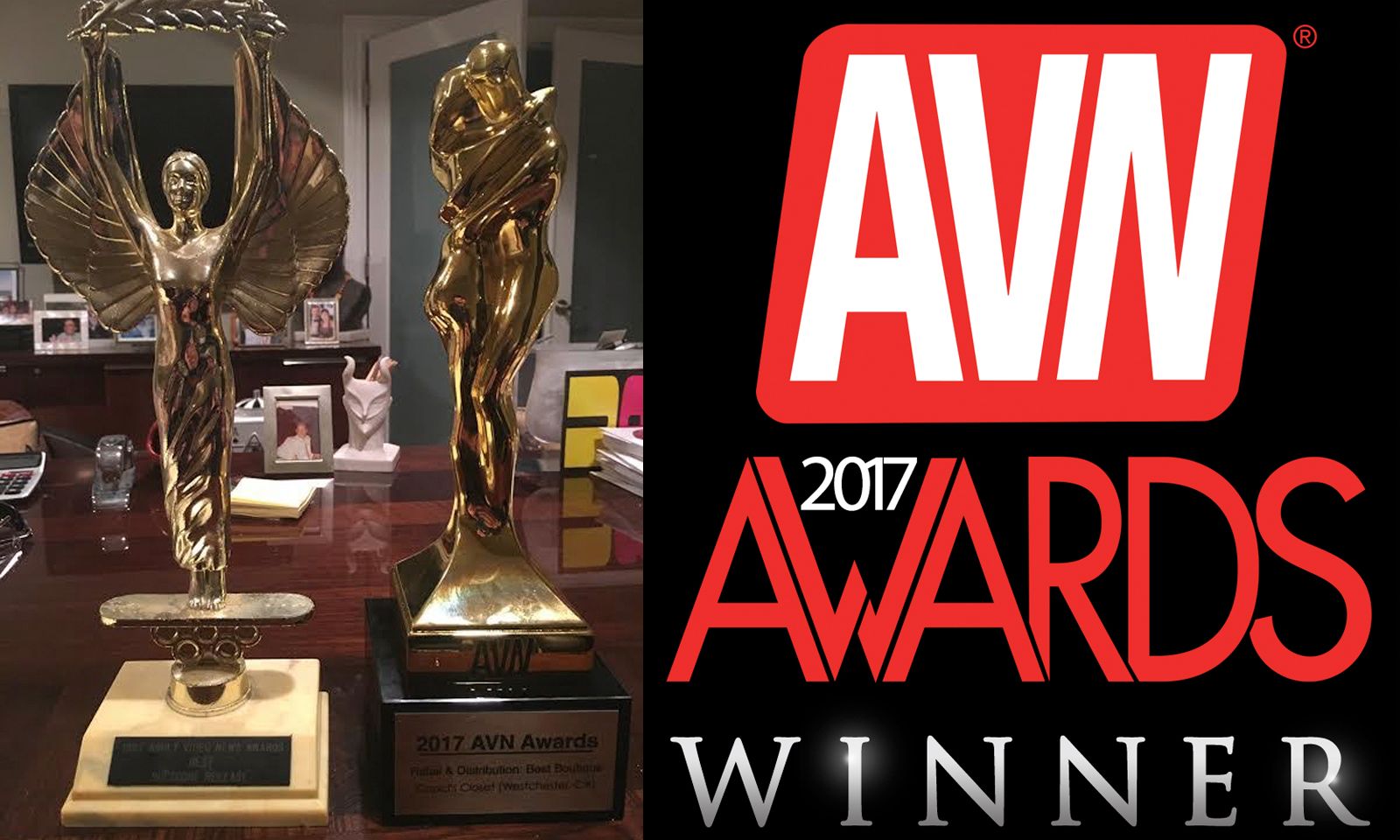 Manufacturers, Retailers Celebrated at 2017 AVN Awards