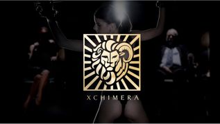 xChimera Launches for PornDoe Premium VIPs